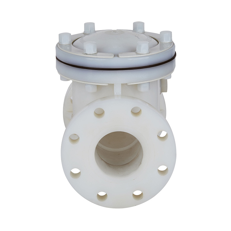 Van check type PVDF H44F-10F DN15-300 1/2'-12' Tiêu chuẩn ANSI