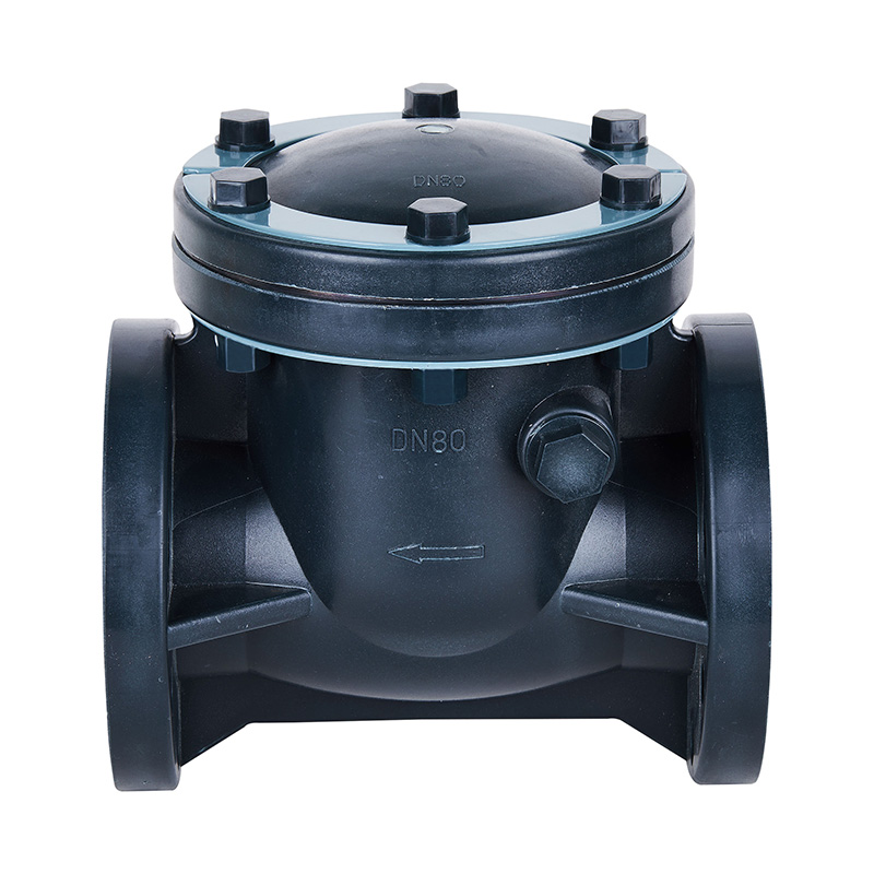 Van kiểm tra loại xoay FRPP H44F-10S DN15-300 1/2 '-12' Tiêu chuẩn ANSI