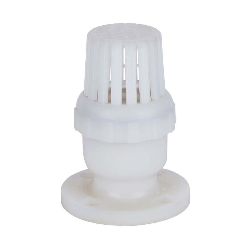 Van đáy PVDF H42F-10F DN50-200 2'-8' Tiêu chuẩn ANSI